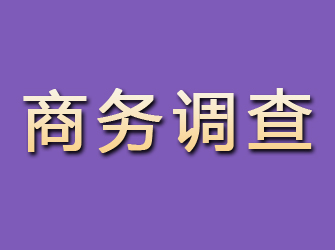 沙河商务调查